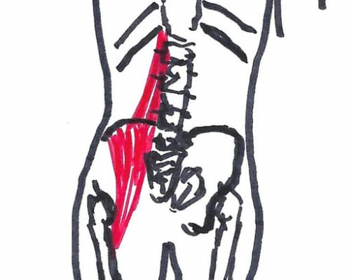 Osteopati - muskulus iliopsoas, hyppig årsag til unødvendig rygkirurgi! Sundhedstips fra Klinik Gahlenbeck, Lægeklinik for osteopati og Akupunktur i Kolding.