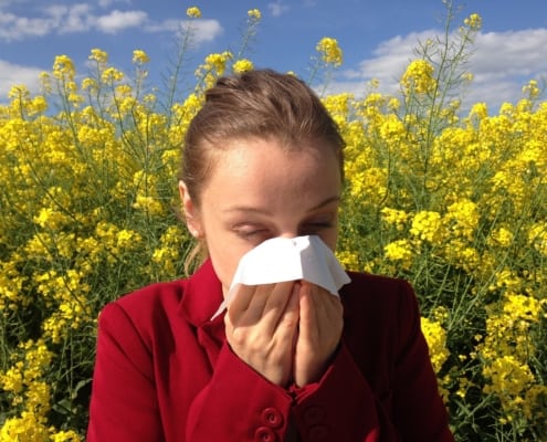 allergy 1738191 1280