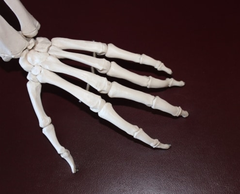 skeleton 778069 1280