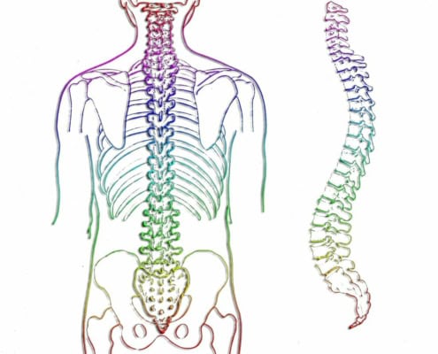 Skab sundhed gennem rygsøjlen! Sundhedstips fra Klinik Gahlenbeck, Lægeklinik for osteopati og Akupunktur i Kolding.