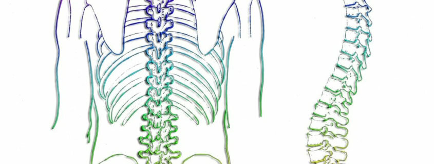 Skab sundhed gennem rygsøjlen! Sundhedstips fra Klinik Gahlenbeck, Lægeklinik for osteopati og Akupunktur i Kolding.