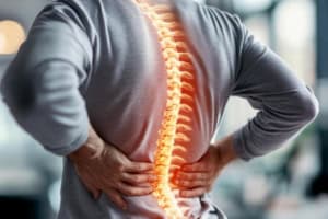 Kroniske smerter – en lægefaglig osteopatisk tilgang