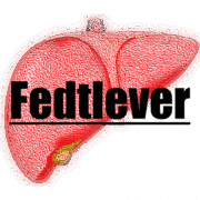 Leverdysfunktion, fedtlever og akupunktur