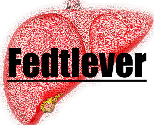 Leverdysfunktion, fedtlever og akupunktur
