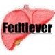 Leverdysfunktion, fedtlever og akupunktur