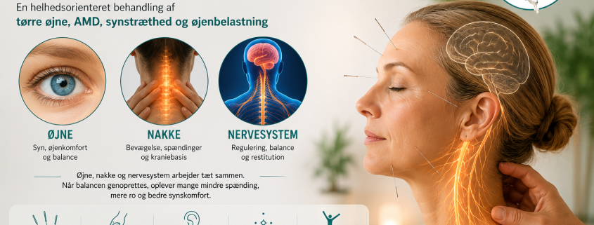 Øjenakupunktur i Kolding – hvorfor øjne, nakke og nervesystem hænger sammen 1 Øjenakupunktur i Kolding – hvorfor øjne, nakke og nervesystem hænger sammen
