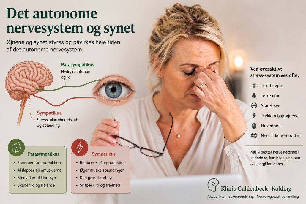 Det autonome nervesystem og synet