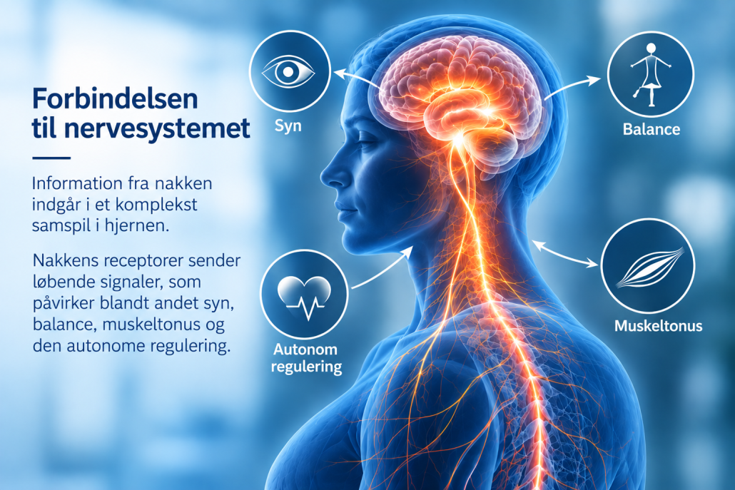 Atlasterapi og forbindelsen til nervesystemet