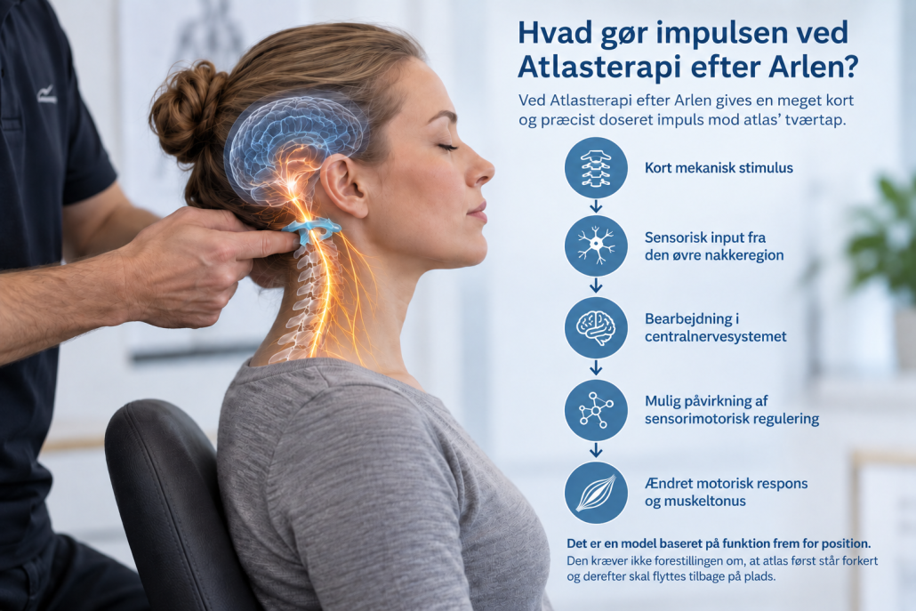 Hvad gør Impulsen ved Atlasterapi efter Arlen